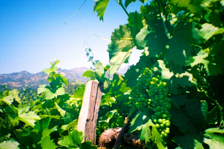 319f787193762843242ae10a4b3e8c2cbace0430