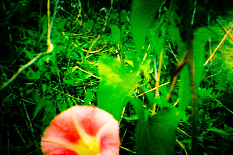 929618b7cd4fea03fbae7d7b606bf40e949dd053