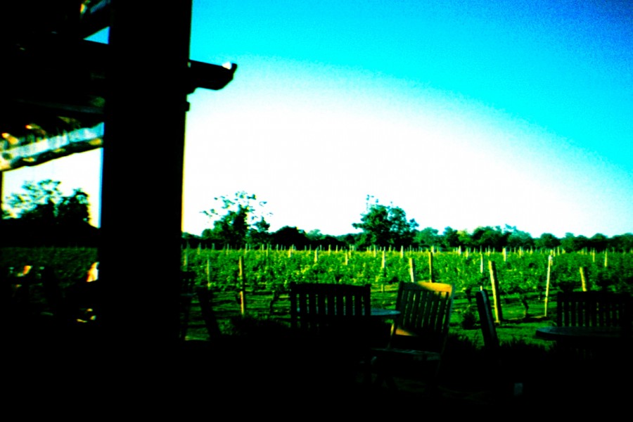 930dfe938e2c1049f99237bc2b25eefb7064a5ab