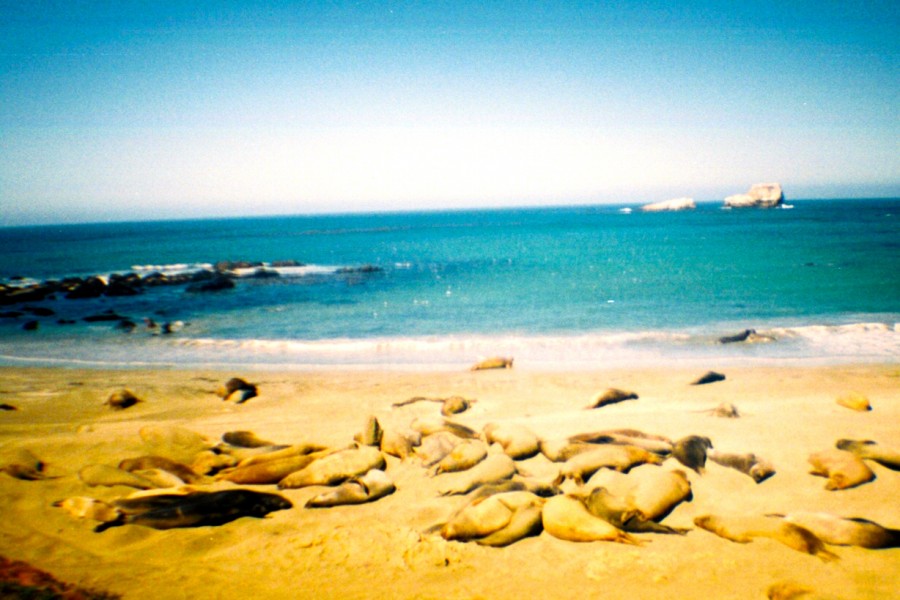 bf85a79f906564ccf820232bd04e688fb37f787d