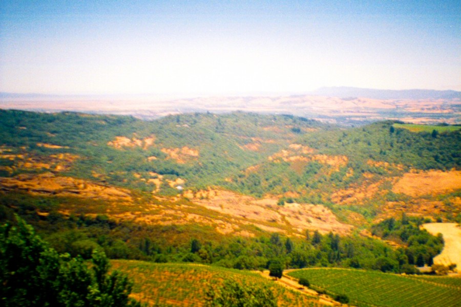 d778d992e9f7d84c06990791ec97e5fde62e0bb1