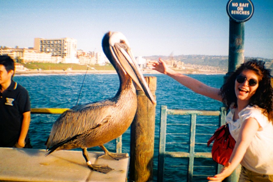 f7f408808723c6c5ea98c4cc97450836a6ef7b3f